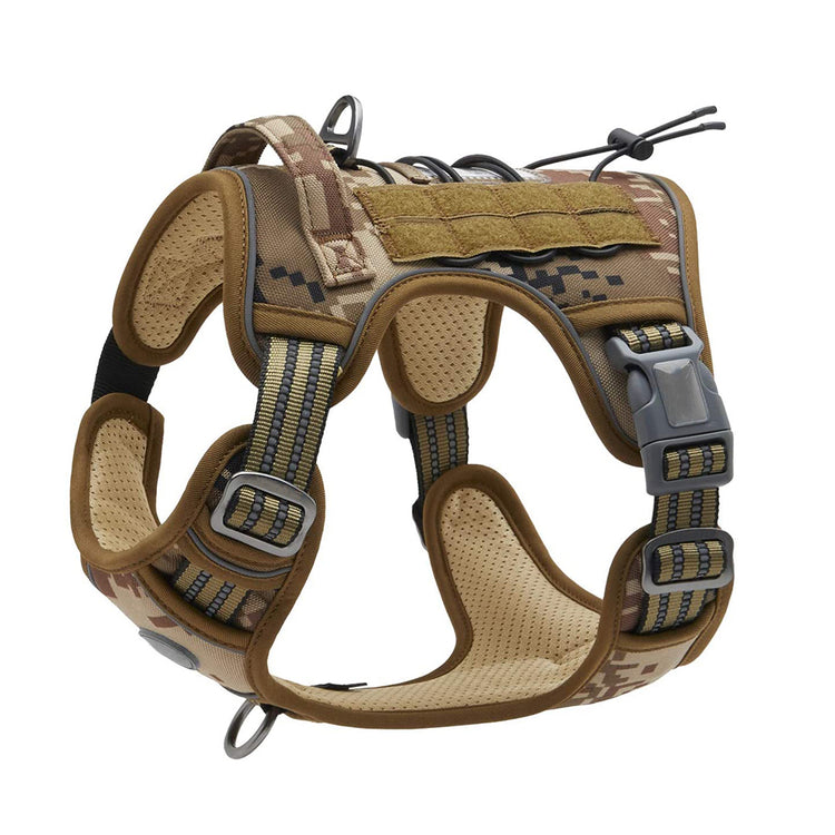 outdoor training reflective pet