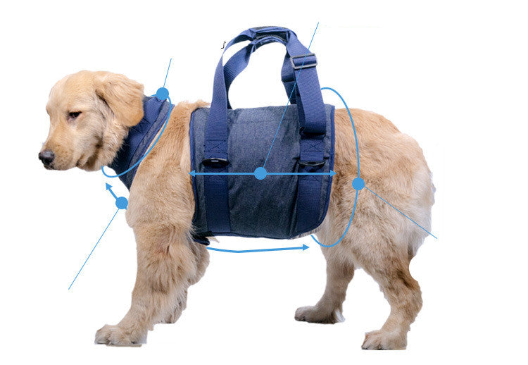pet dog leash strong durable walking 