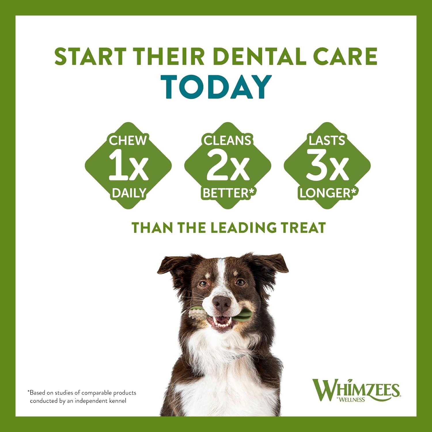 stix dental dog treats value bag small